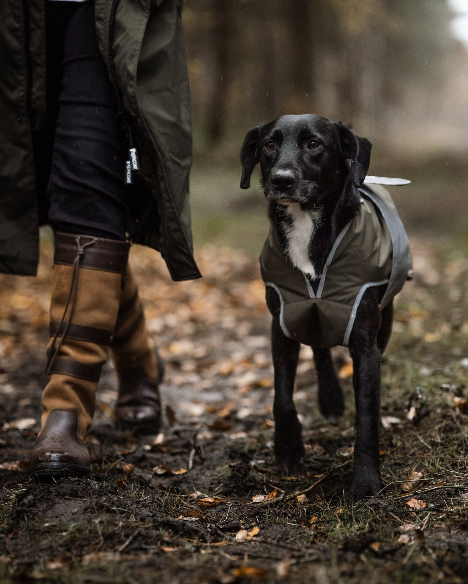 Reincoat Dog - Olive - Reincoat